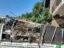Best Moving and Downsizing Cleanouts  in North Richland Hills, TX