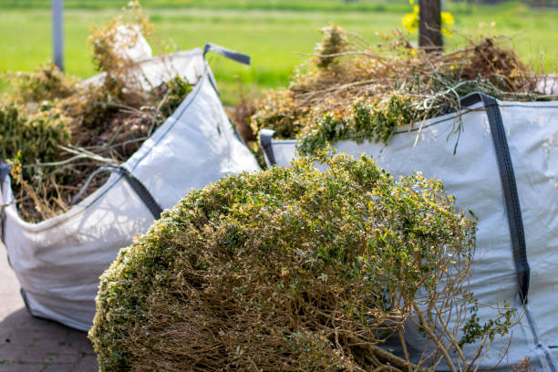 Professional Junk Removal Services in North Richland Hills, TX